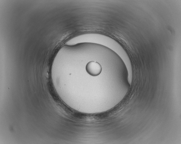 X0000114630264200911171016