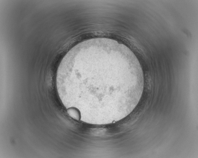 X0000114630266200911171016