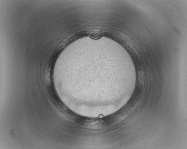 X0000114630267200911171016