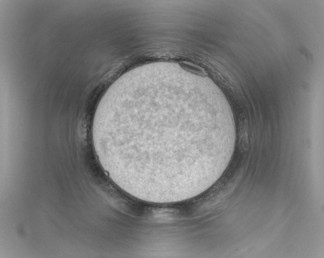 X0000114630268200911171016