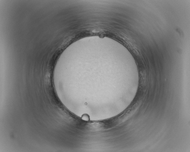 X0000114630269200911171016