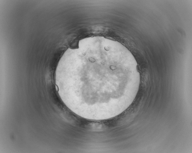 X0000114630272200911171016