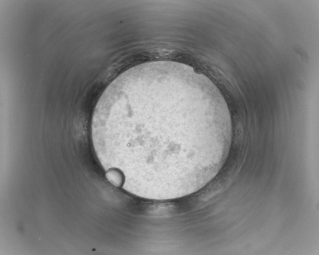 X0000114630274200911171016