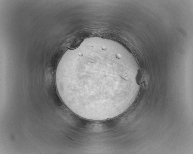 X0000114630276200911171016