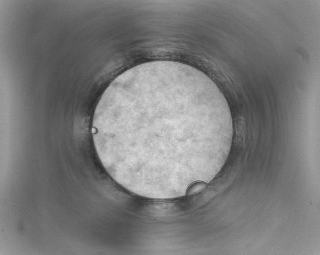 X0000114630278200911171016