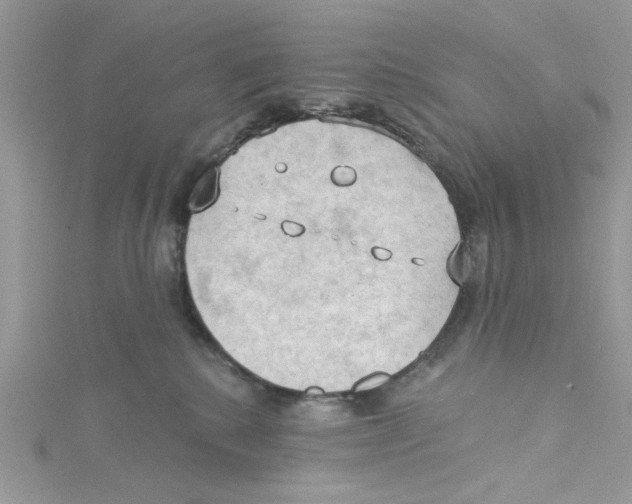 X0000114630280200911171016