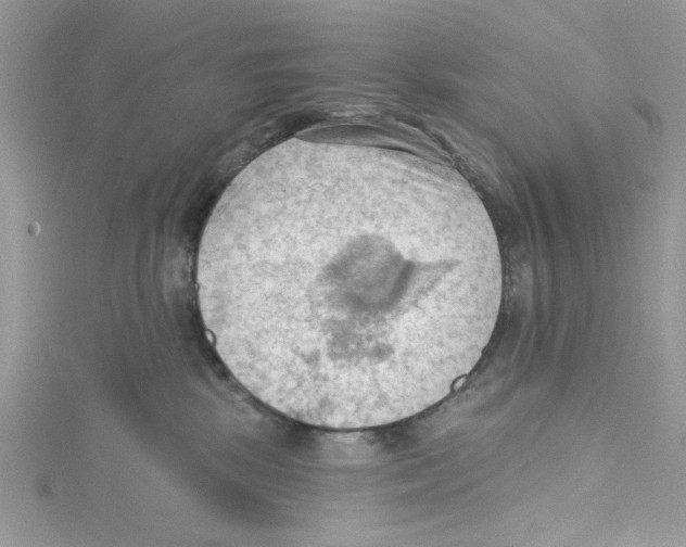 X0000114630281200911171016