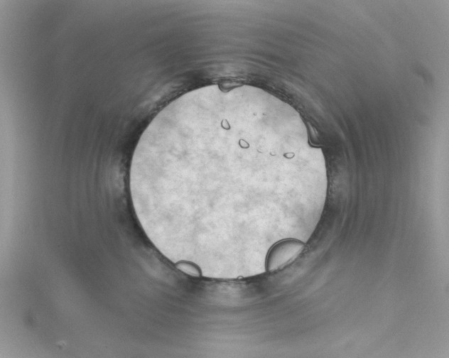 X0000114630282200911171016