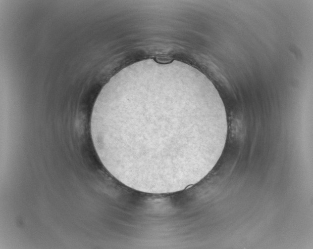 X0000114630283200911171016