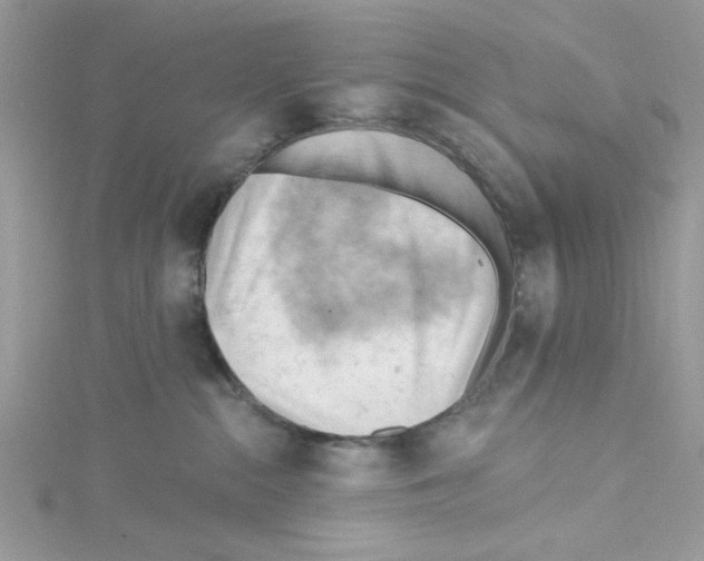 X0000114630284200911171016