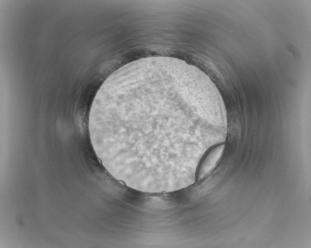 X0000114630285200911171016