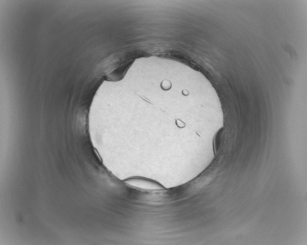 X0000114630288200911171016