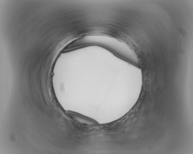 X0000114630289200911171015