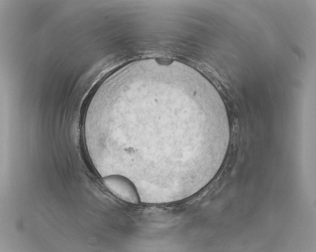 X0000114630290200911171015