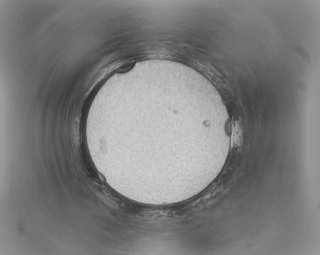 X0000114630291200911171015