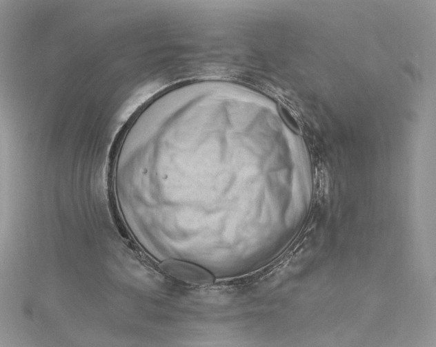 X0000114630292200911171015