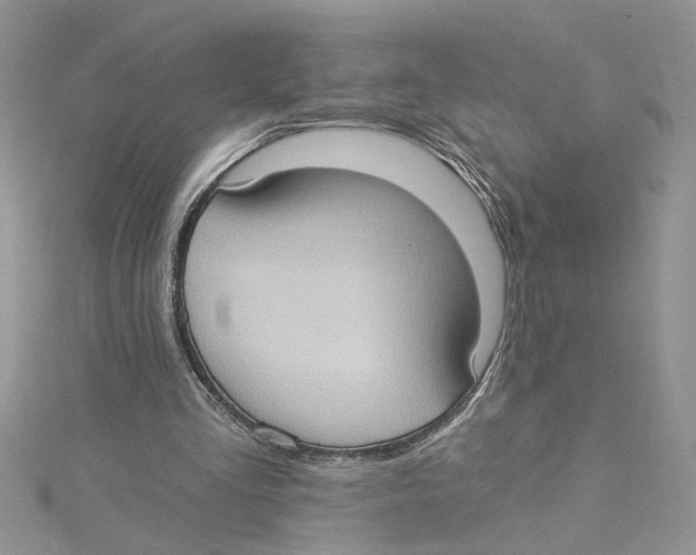 X0000114630293200911171015