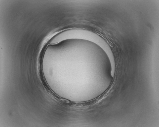 X0000114630294200911171015