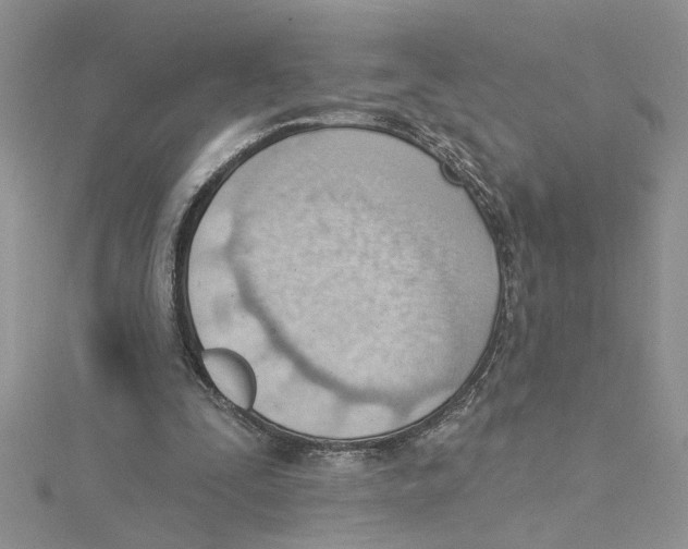 X0000114630295200911171015