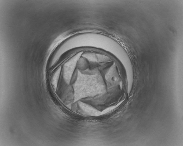 X0000114630296200911171015