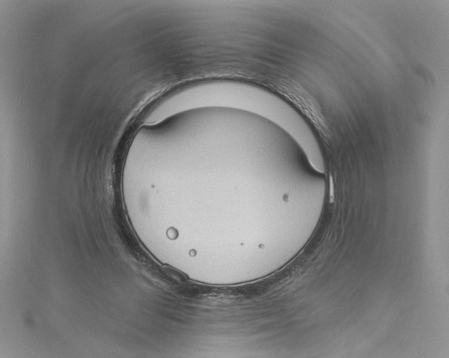 X0000114630300200911171015