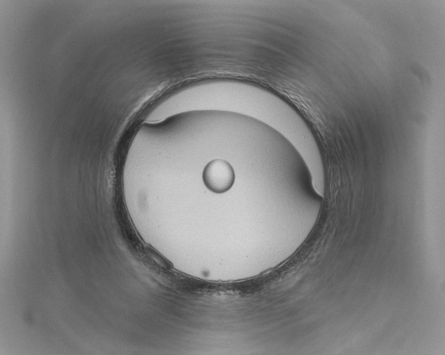 X0000114630304200911171015