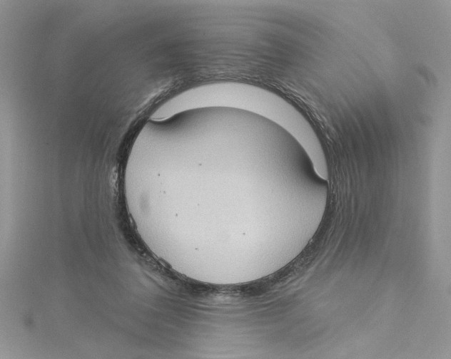 X0000114630308200911171015