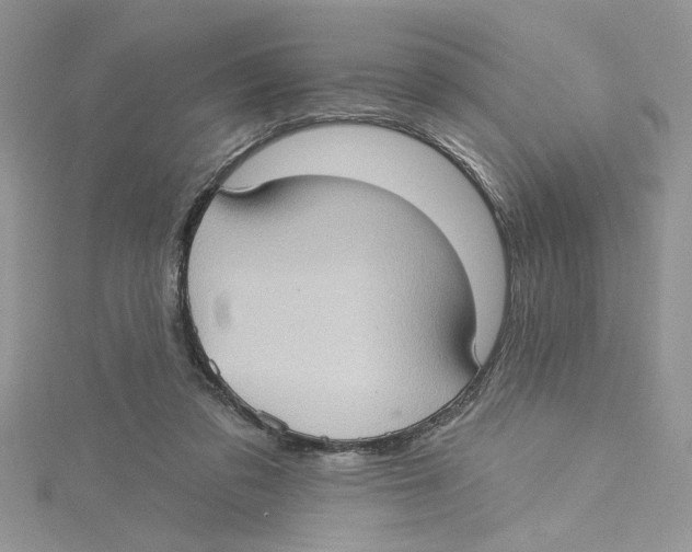 X0000114630309200911171015