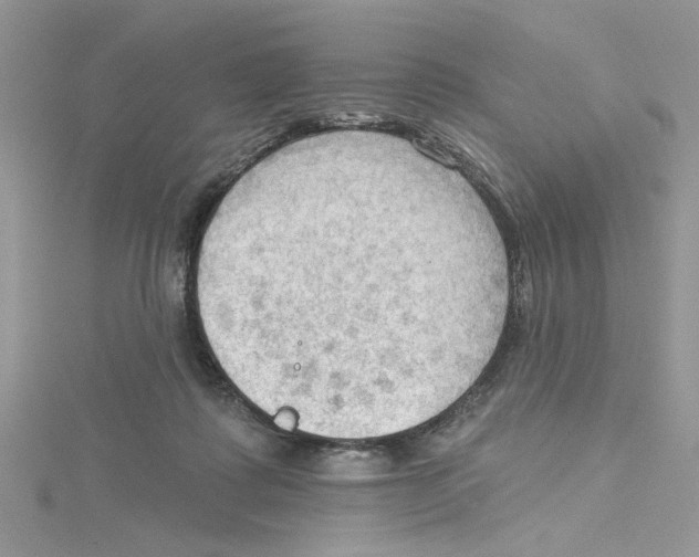 X0000114630315200911171015