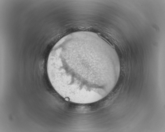 X0000114630319200911171015