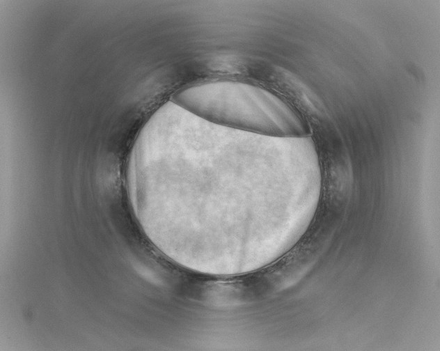 X0000114630320200911171015