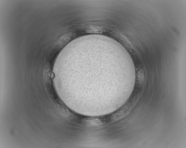 X0000114630322200911171015