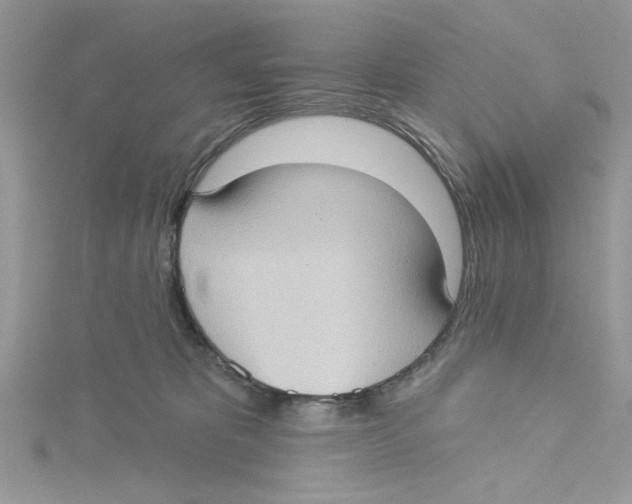 X0000114630325200911171015