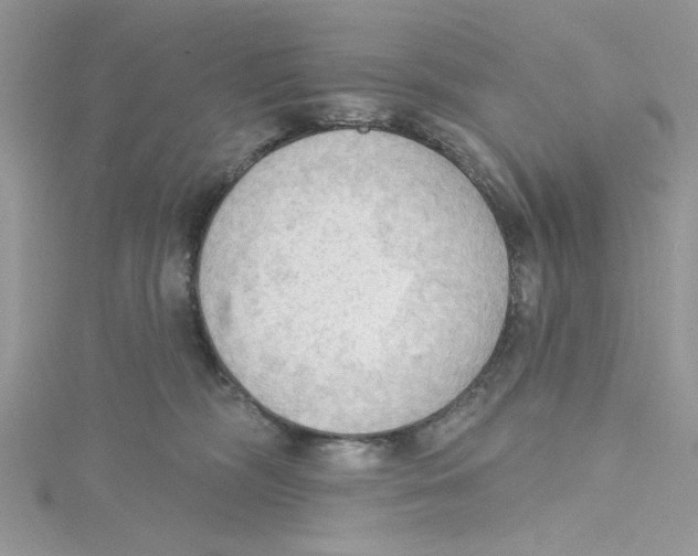 X0000114630326200911171015