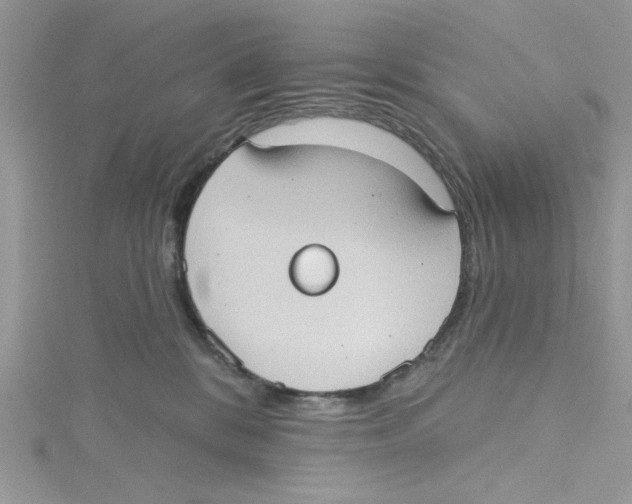 X0000114630328200911171015