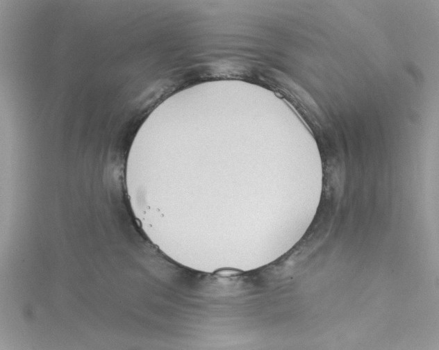 X0000114630329200911171015