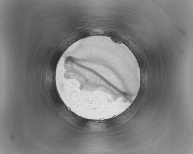 X0000114630331200911171015