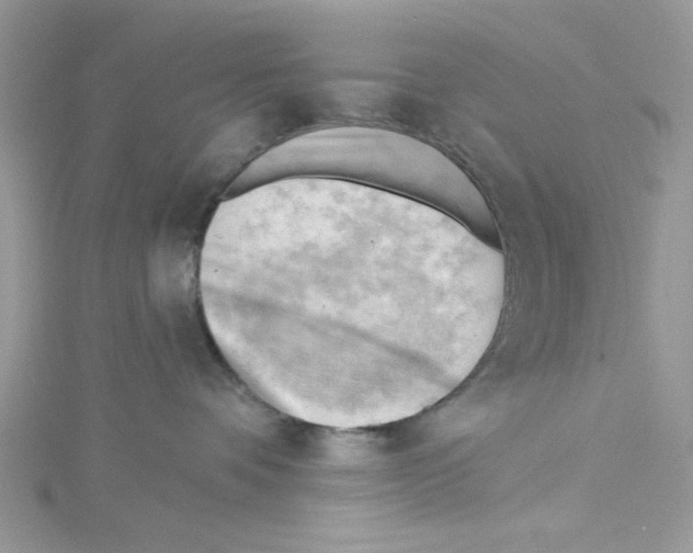 X0000114630336200911171015