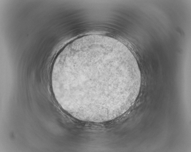 X0000114630337200911171014