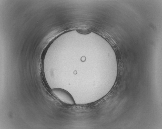 X0000114630338200911171014