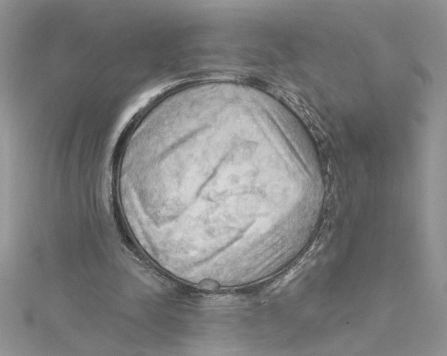 X0000114630342200911171014