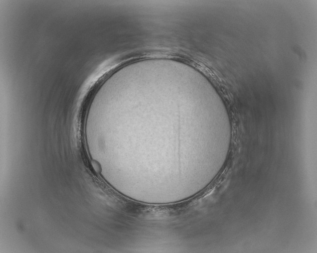 X0000114630343200911171014