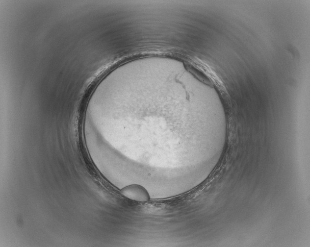 X0000114630346200911171014