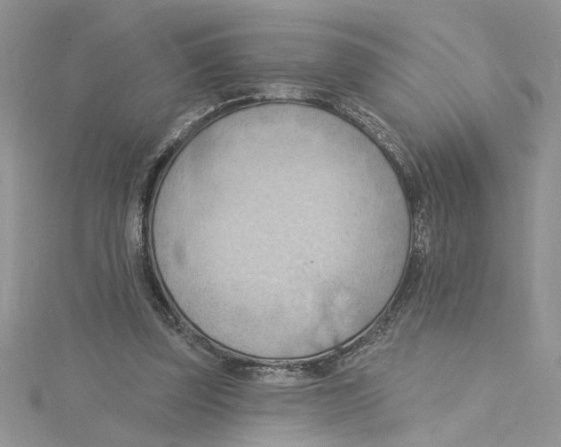 X0000114630347200911171014