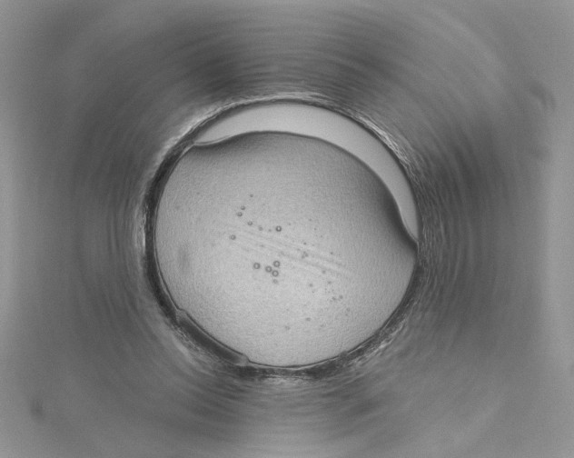 X0000114630350200911171014