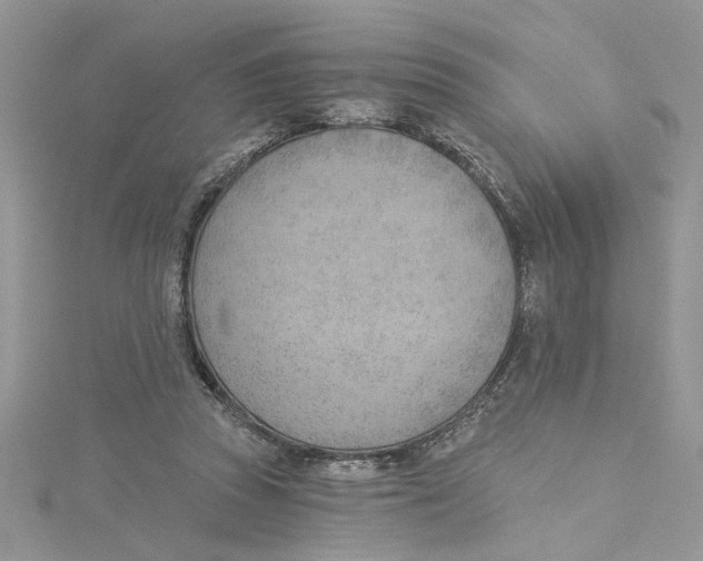 X0000114630353200911171014