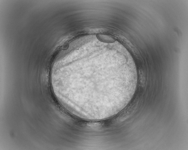 X0000114630357200911171015