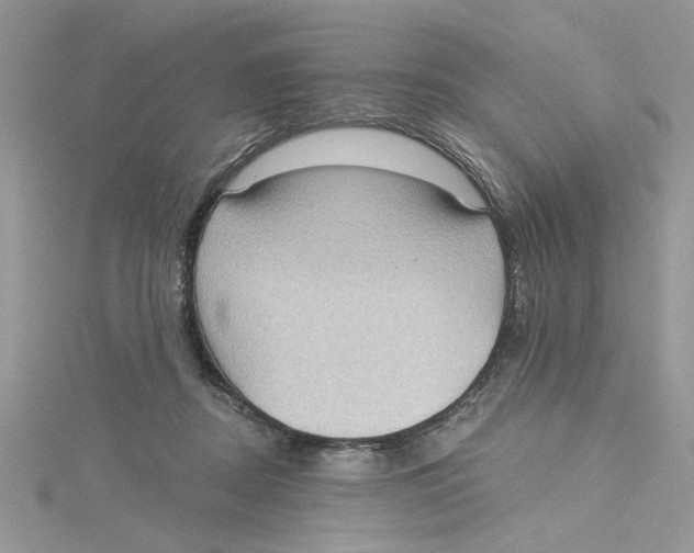 X0000114630362200911171015