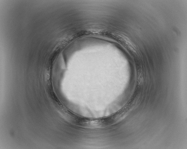 X0000114630365200911171015