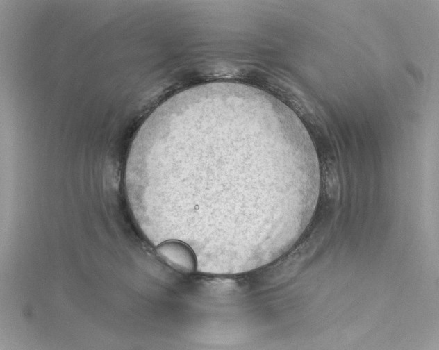 X0000114630374200911171015